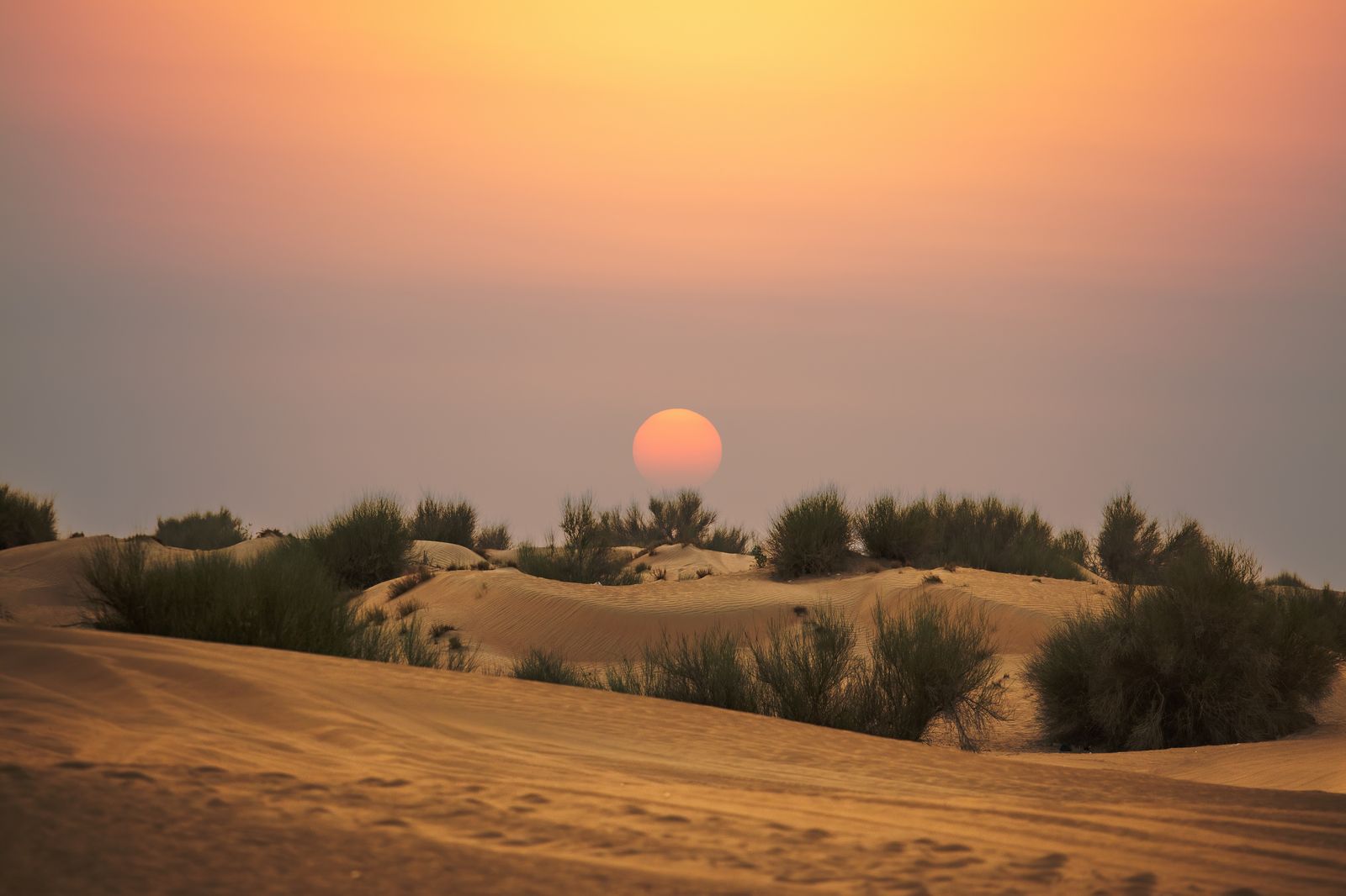 Sun setting over rippling desert dunes in Dubai